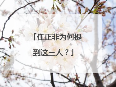 任正非为何提到这三人？